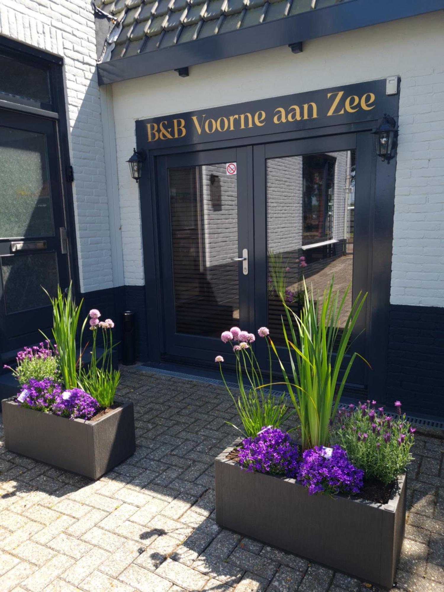 B&B Voorne Aan Zee 로칸제 외부 사진